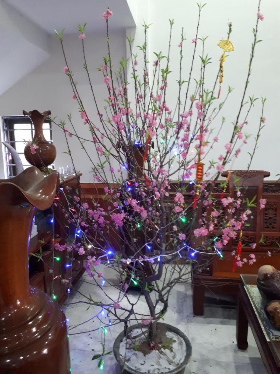 Chau Lang Chanh Hotel Thanh Minh מראה חיצוני תמונה